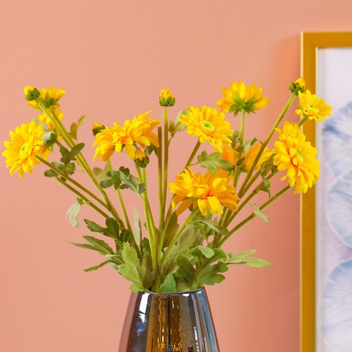 [HOM-Dan-01069] AW20 Rejoice Yellow Wild Chrysanthemum