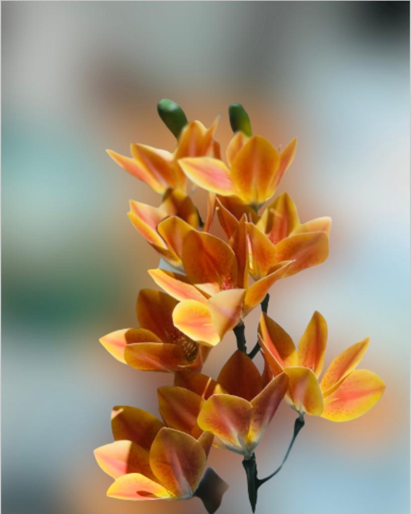 Kathali Chapa (yellow)