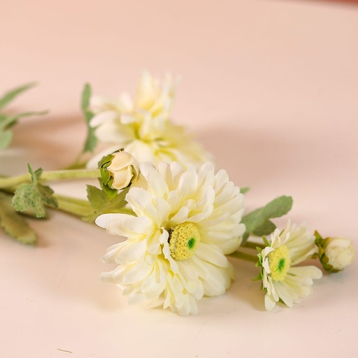 [HOM-Dan-01070] AW20 Rejoice White Wild Chrysanthemum