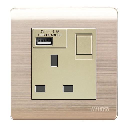 [ELE-Dan-01964] MILANO 13A SOCKET WITH NEON WITH USB GD