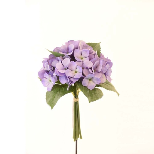 [HOM-Dan-02043] AW21  Rejoice  Hydrangea  Bunch