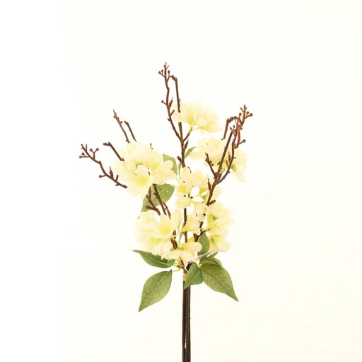 [HOM-Dan-02046] AW21  Rejoice  White  cherry  blossom  bunch