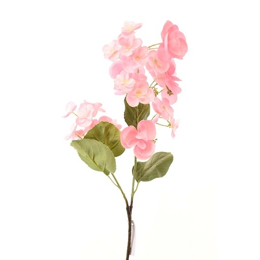 [HOM-Dan-02054] AW21  Rejoice  Pink    hydrangea