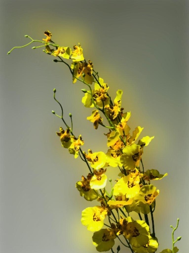 [Loc-ova-05404] Cheery Stick (yellow)