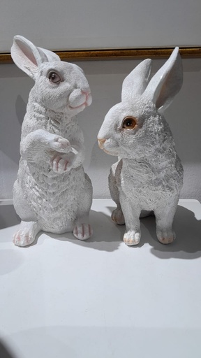 [Hom-ova-06060] Artificial Rabbit