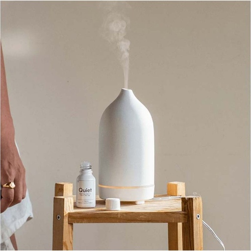 [HOM-Dan-00941] SS22 Tulip Cylinderical Aroma Diffuser White 120ML